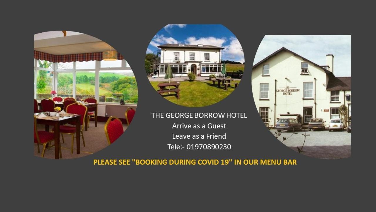 The George Borrow Hotel Ponterwyd Extérieur photo