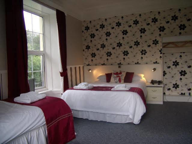 The George Borrow Hotel Ponterwyd Extérieur photo